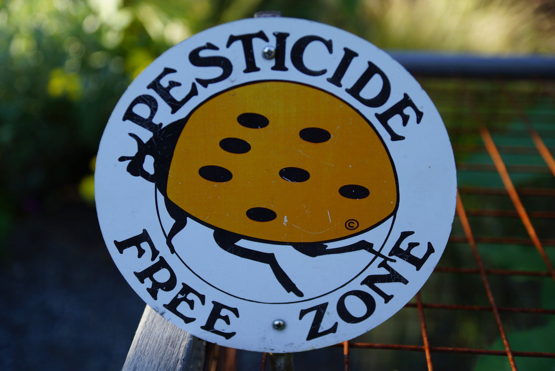 Siete Maneras de Proteger a su Familia de los Pesticidas en los Alimentos