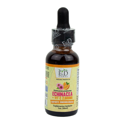 E&D Herbs - Echinacea + Vitamin C Tincture