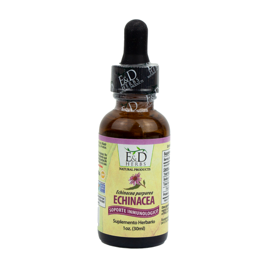 E&D Herbs - Echinacea Tincture