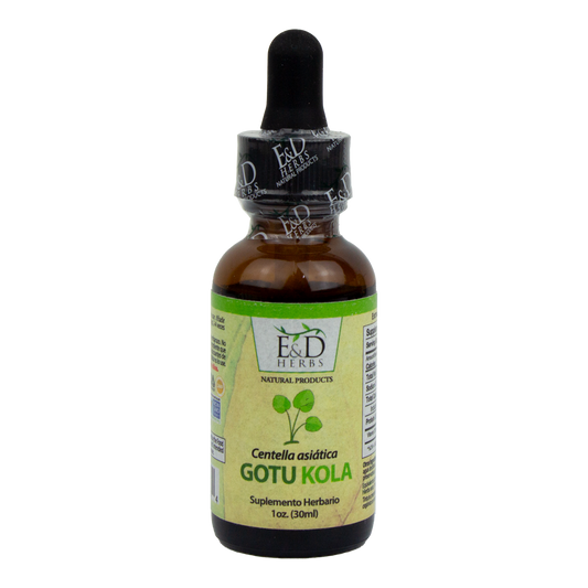 E&D Herbs - Gotu Kola Tincture