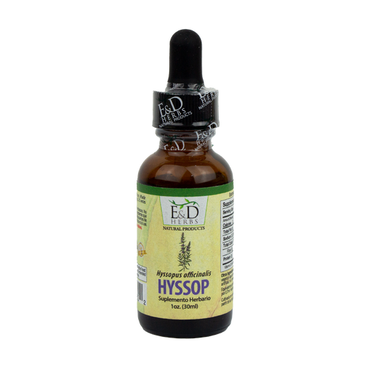 E&D Herbs - Hyssop Tincture