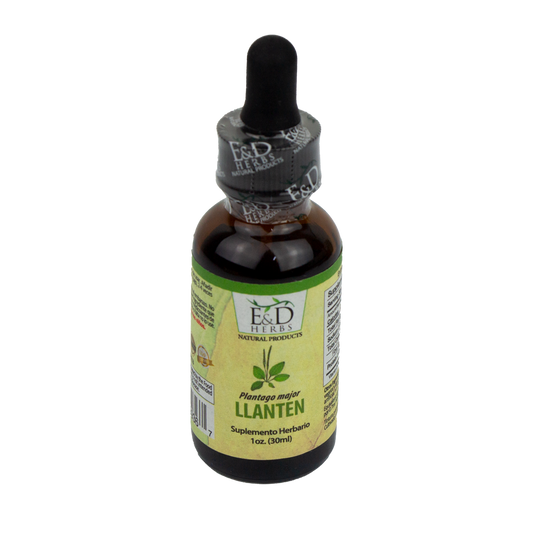 E&D Herbs - Llanten Tincture