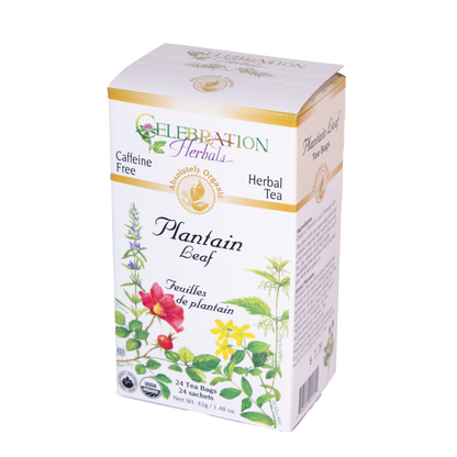 Celebration Herbals - Plantain Leaf