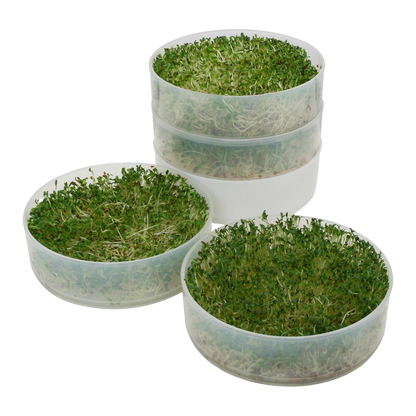 Kitchen Crop - Four Tray Seed Sprouter